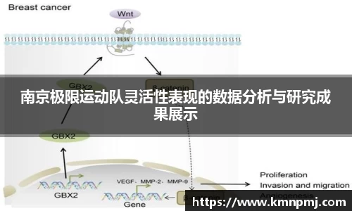 南京极限运动队灵活性表现的数据分析与研究成果展示